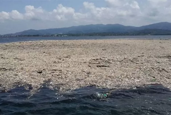 Video: Oleaje arrastra basura en playas de #PuertoCortés
