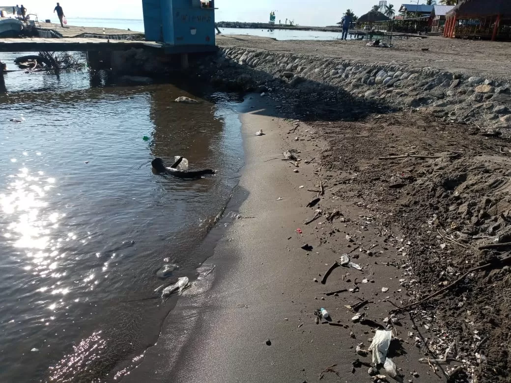 Realizan recolección de basura proveniente de Guatemala en playas de Omoa