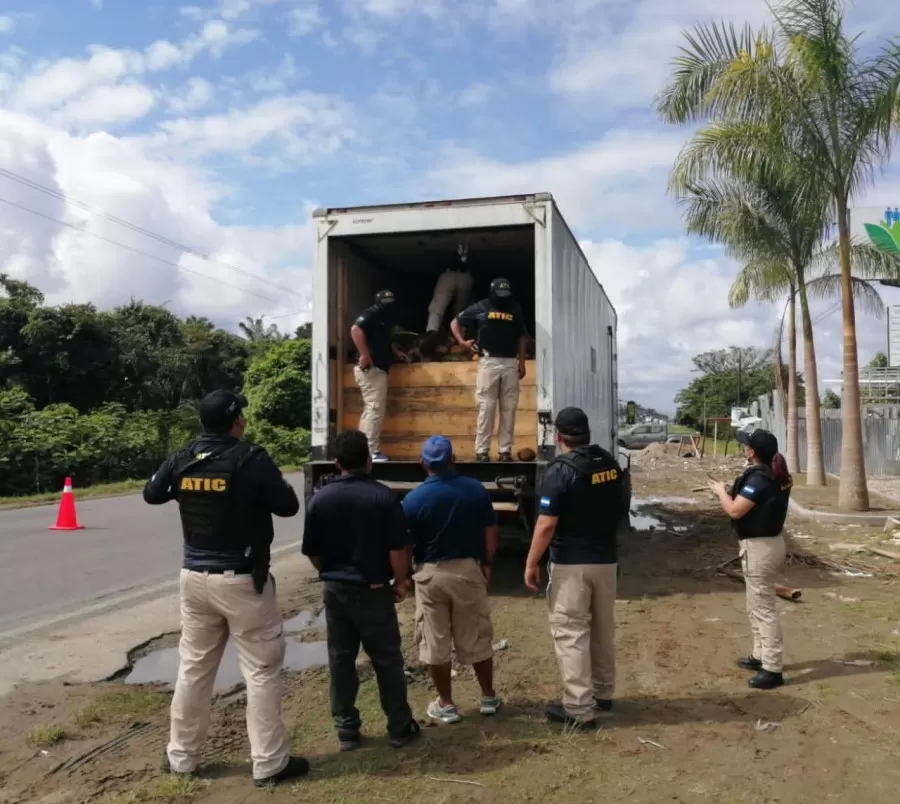 Con 498 paquetes de marihuana ocultos entre cargamento de cocos, ATIC detiene a dos personas