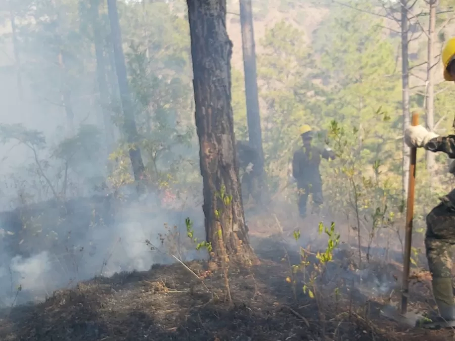Operaciones de control de incendios Forestales en el Cerro Canta Gallo en Francisco Morazán