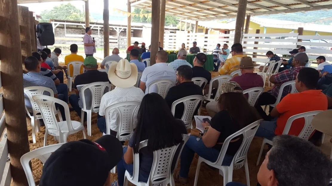 Sector ganadero Olanchano cuenta con el apoyo financiero de BANADESA