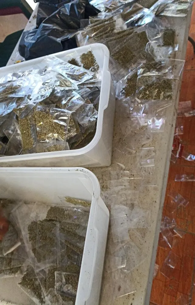 Policía Nacional ejecuta allanamiento a centro de distribución y almacenaje de  droga para su venta en el sector del Ocotillo