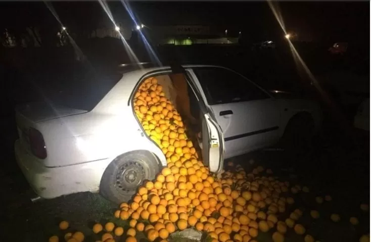Insólito robo: detuvieron a 5 personas tras encontrar 4 mil kilos de naranjas en sus autos