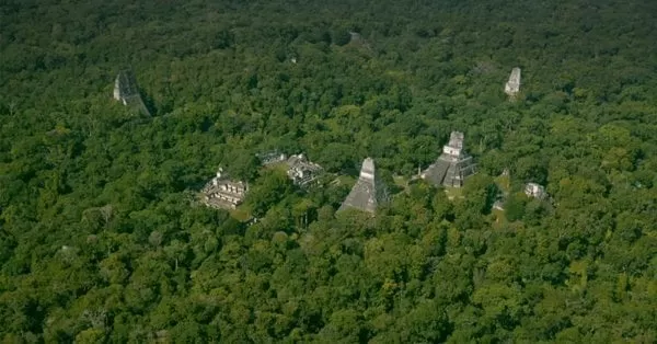 VIDEO: Descubren restos de una megalópolis Maya en una selva de Guatemala