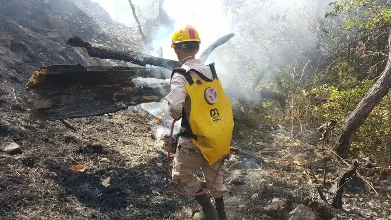 Incendio forestal en Ocotepeque