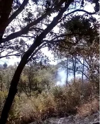 VIDEO: Continúa incendio en un bosque en El Zamorano