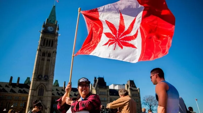 El Senado de Canadá autoriza el uso recreativo de la marihuana