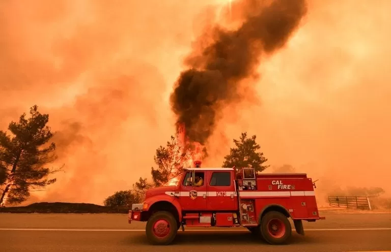 Bomberos combaten incendio forestal en California