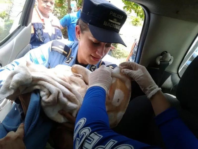 Hermosa bebé llega a la vida a bordo de una patrulla policial