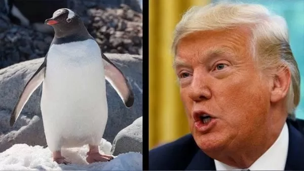 Sustituir a Trump con un pingüino, el nuevo desafío viral que inunda Twitter