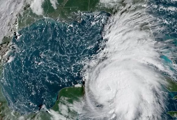 Declaran estado de emergencia por tormenta 'Michael' en Florida, EEUU