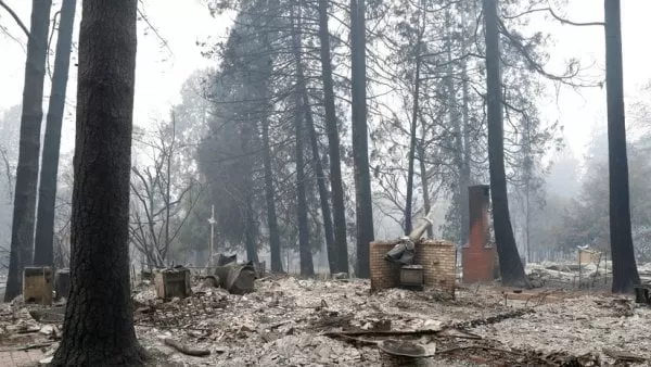 Asciende a 48 la cifra de muertos por incendios forestales en California