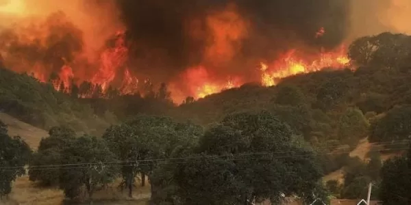 IMÁGENES: Miles de personas evacuadas por voraz incendio forestal en California