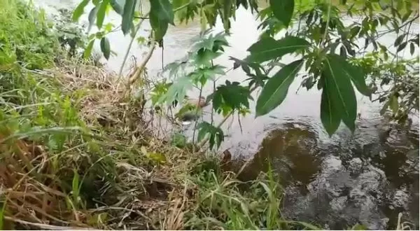 VIDEO: Encuentran cuerpo sin vida en río Choloma