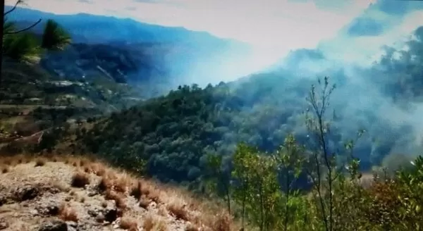 Se reporta incendio forestal en San Marcos de Caiquín, Lempira