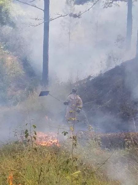 Bomberos apagan incendio forestal en Juticalpa, Olancho