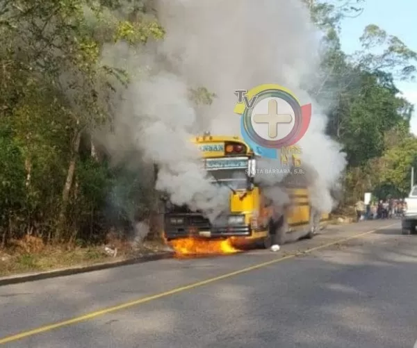 Bus de la empresa Transan se incendia en carretera de Santa Bárbara