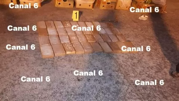 Guatemala: Ocultos en cajas de bananos encuentran supuesta cocaína, contededores procedentes de Costa Rica