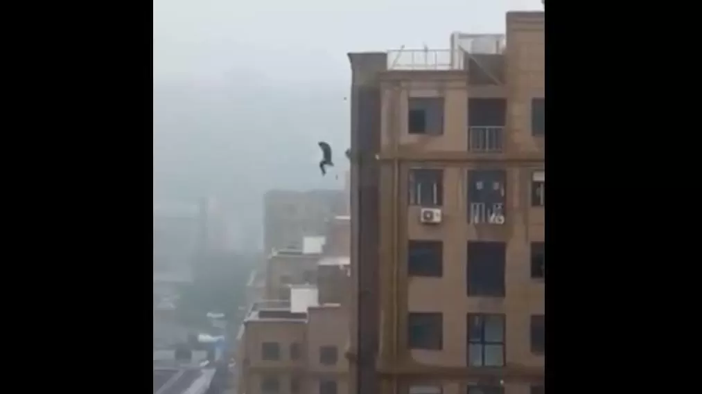 VIDEO: Hombre cae al vacío al tratar de tomarse una selfie en lo más alto de un edificio