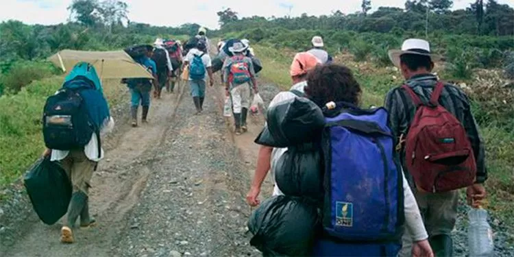 Agencia EFE: Unos 1 940 ciudadanos salvadoreños y hondureños fueron desplazados por violencia en 2018