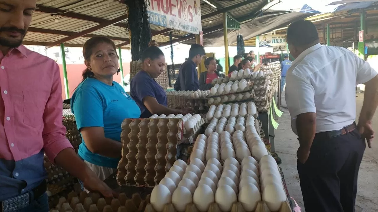 Aumenta 3 lempiras el cartón de huevos en la Feria del Agricultor (Video)