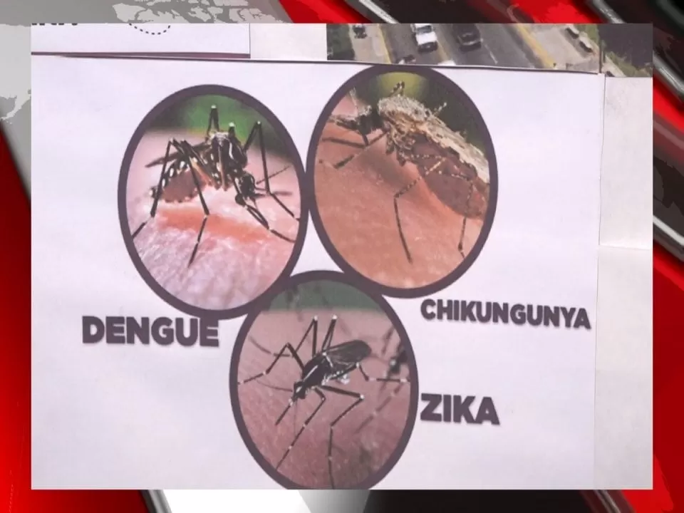 Autoridades de salud coordinan acciones de lucha contra el dengue