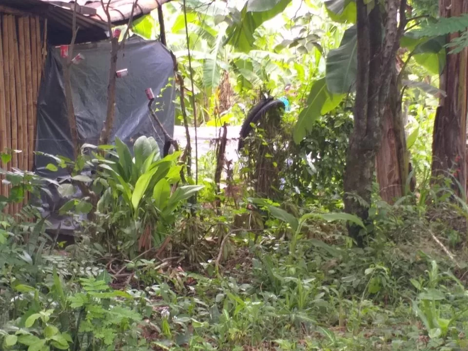 Encuentran osamenta en Florida, Copán (Video)