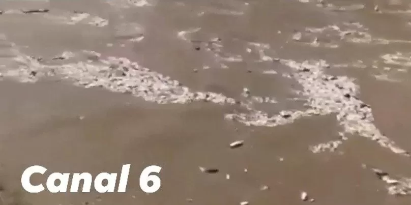 Desechos de Guatemala contaminan playas de Omoa, Cortés (Video)