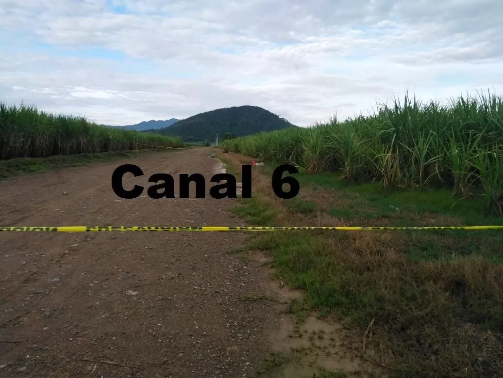 Encuentran una persona muerta en Cañeras de San Manuel, Cortés (Video)