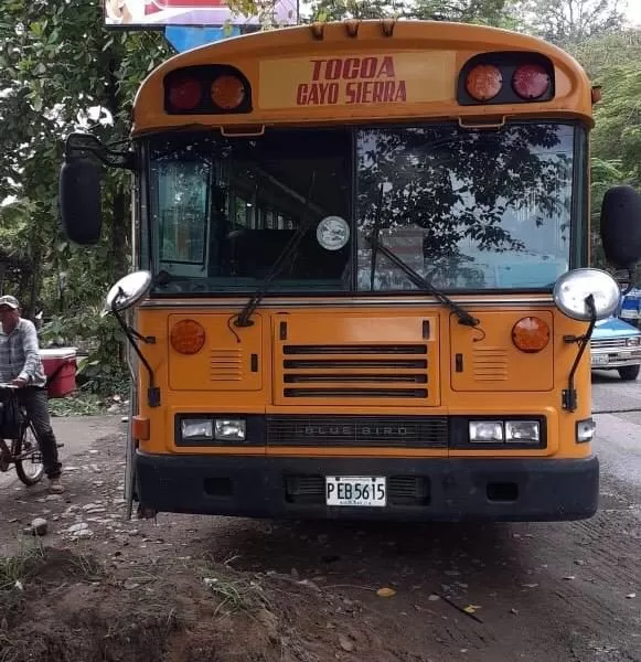 Hallan marihuana debajo de asientos de bus en Tocoa, Colón
