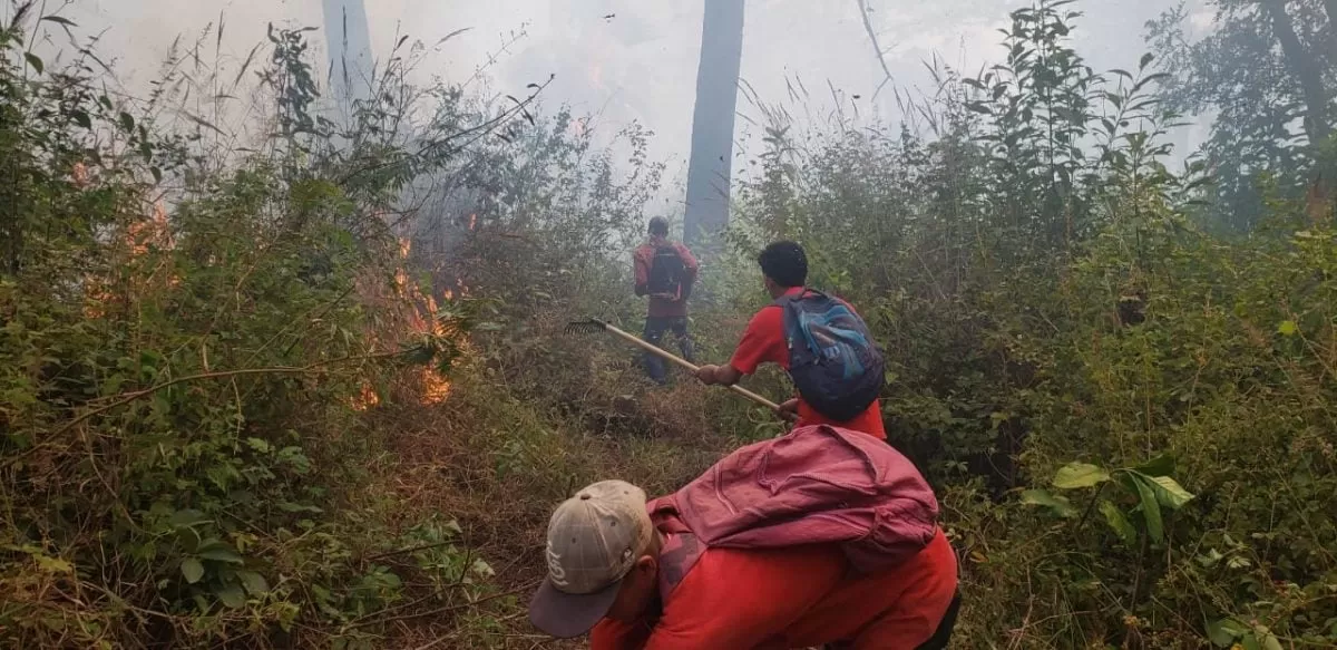 Se reporta incendio en Valle de Ángeles 