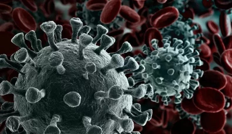 Científicos de Florida descubrieron que una mutación hace más infeccioso al coronavirus