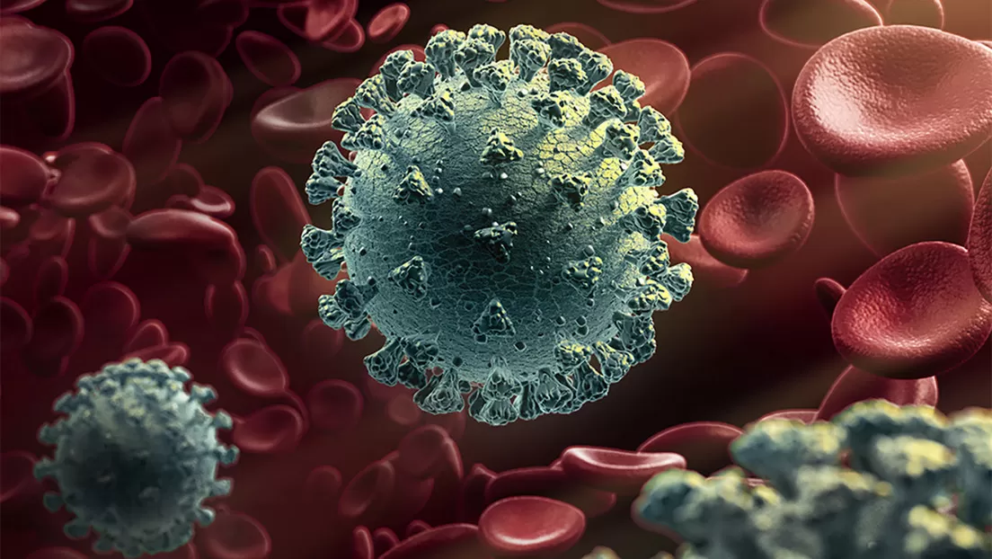 Una nueva mutación del coronavirus lo hace más infeccioso pero menos patógeno