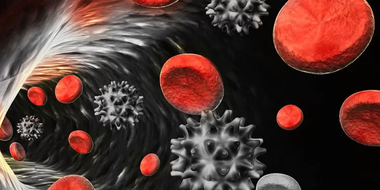 Virus del COVID-19 puede sobrevivir hasta 28 días en superficies