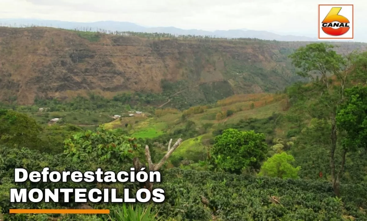 Importancia de la biodiversidad en la reserva biológica de Montecillos vrs Deforestación
