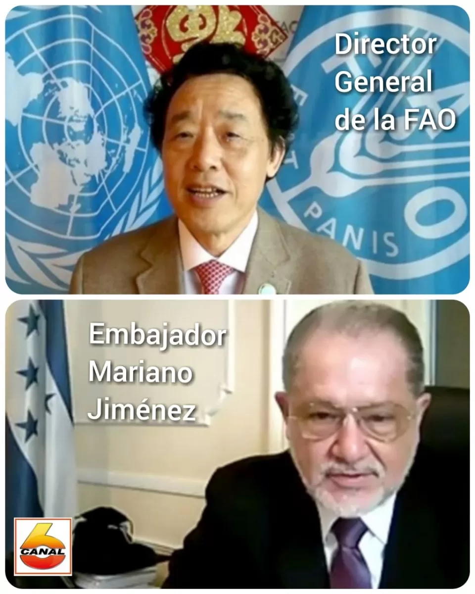 Embajador hondureño Mariano Jiménez, presenta Cartas Credenciales ante el Director General de la ONU