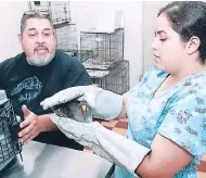 Funapa gestiona la construcción del primer hospital veterinario en Honduras