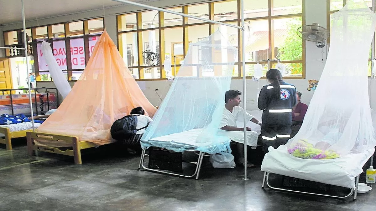 Perú en alerta por incremento de casos de dengue