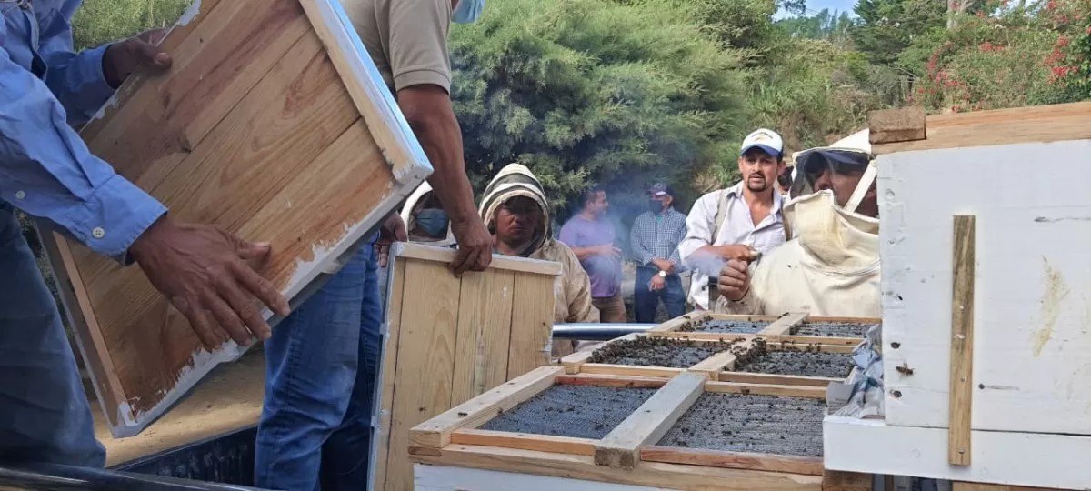 SAG entrega colmenas e insumos a apicultores de La Paz y Ocotepeque