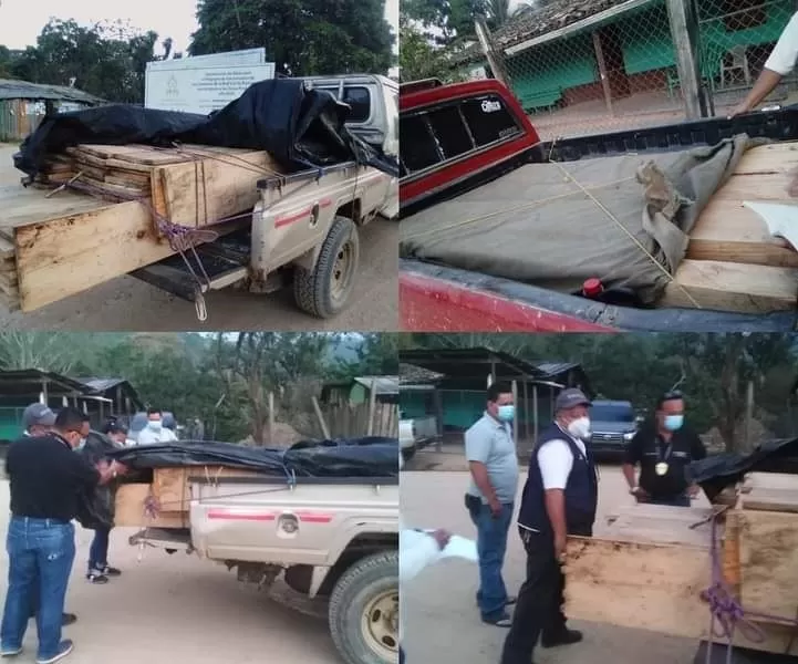 Auto de formal procesamiento contra seis personas por explotación ilegal de recursos naturales en zona oriental