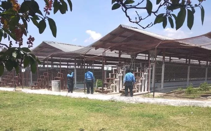 #MP investiga supuesta malversación de fondos en proyecto porcino avícola del centro penal de Comayagua