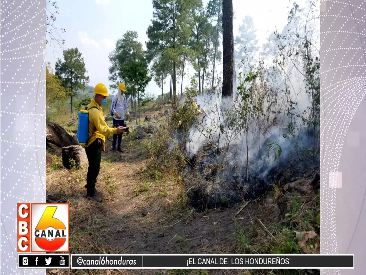 Bomberos reportan aumento de incendios forestales en Santa Barbara