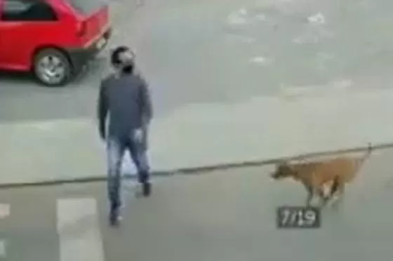 Hombre intentó cruzar la calle y fue atropellado por un perro