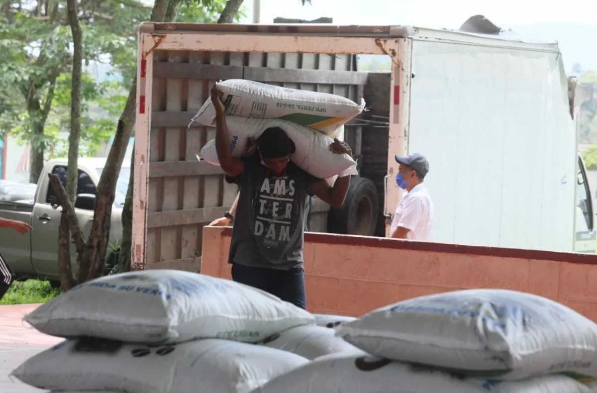 Bono Cafetalero: Caficultores de Lempira reciben 66.432 sacos de fertilizante