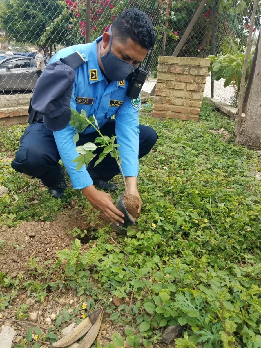 Policía Nacional siembra árboles en predio de posta policial de El Paraíso