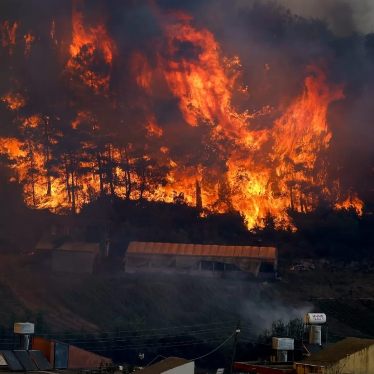 Incendios en Turquía cobró la vida de al menos ocho personas