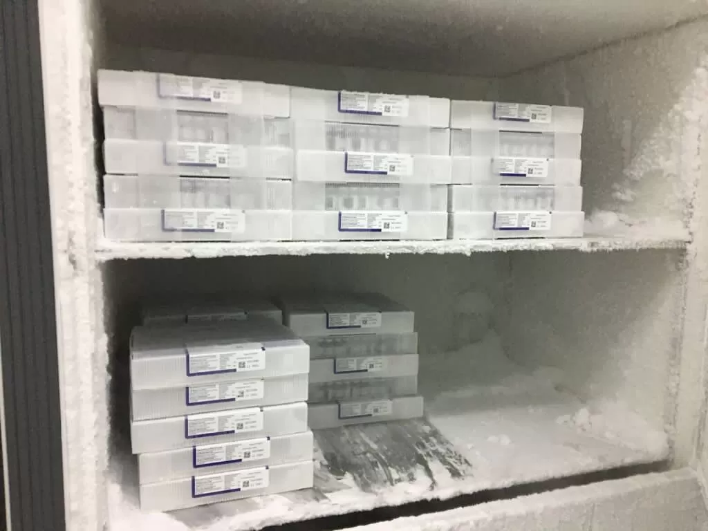 La Secretaría de Salud recibió dos lotes de vacunas Pfizer