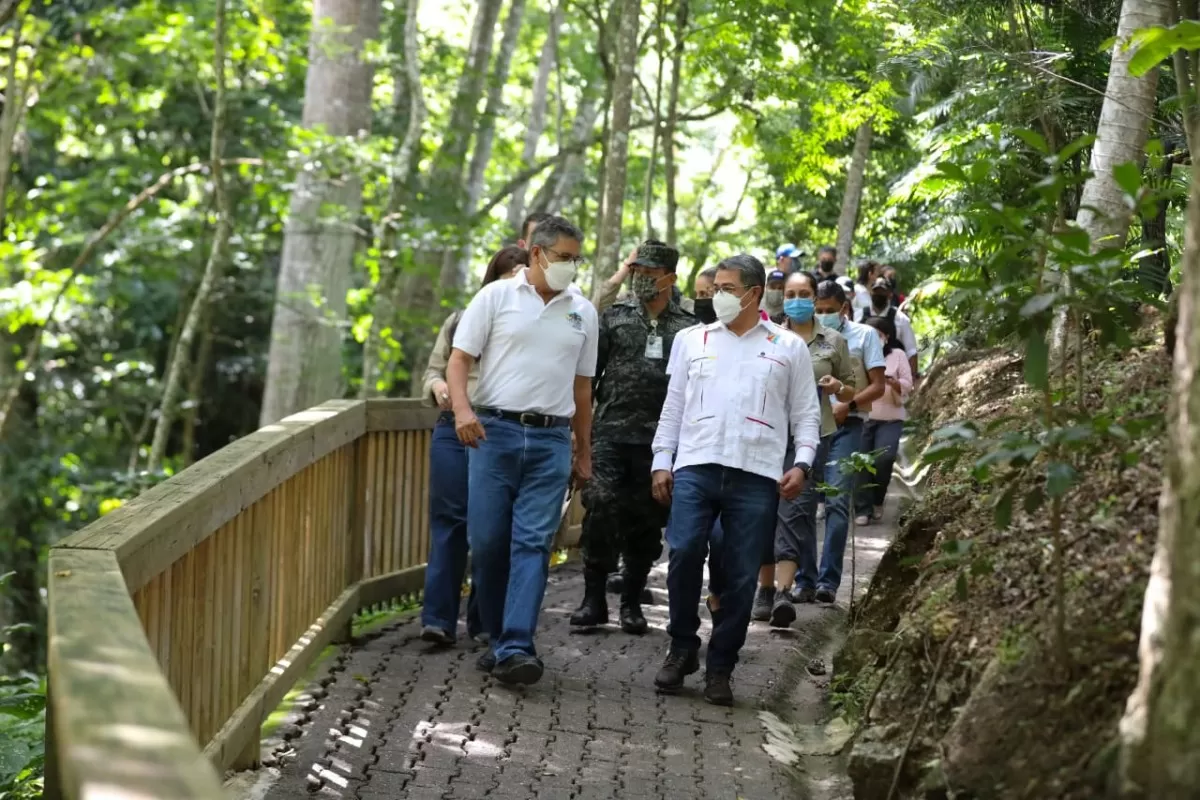 Gobierno de Honduras y Fundación Pro-Alas promueven la protección de guaras rojas