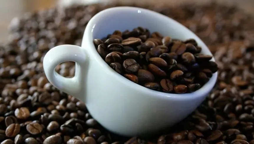 Exportadores de café solicitan a la banca ampliación de línea de crédito