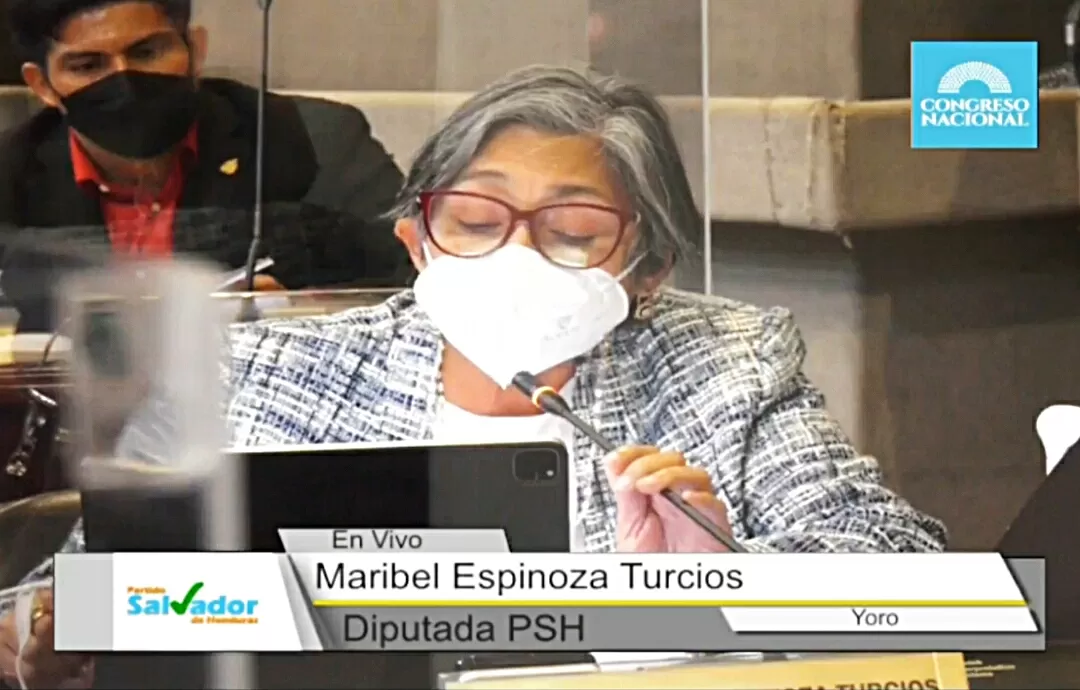 Abogada Maribel Espinoza lee sobre la reelección presidencial y las ZEDES